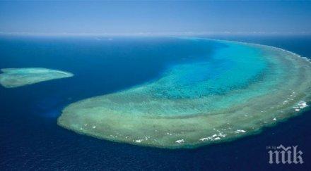 риск големият бариерен риф превърне сметище