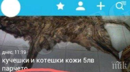 отвратително варненка продава кожи кученца котенца