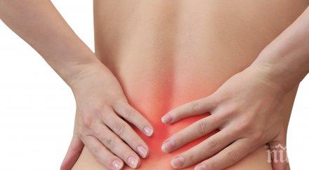 болките гърба появяват често обяд