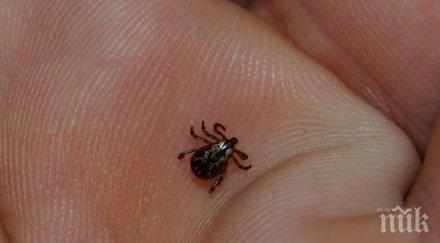 лаймска болест вкара перничанин болница