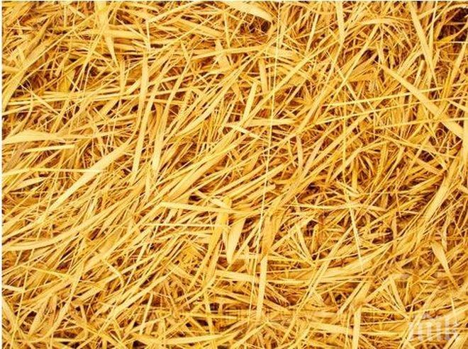 Продават къщи от слама във Великобритания