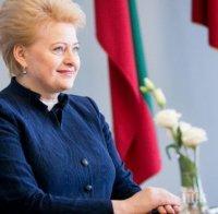 Президентът на Литва: Споразуменията в Минск са абсолютно слаби
