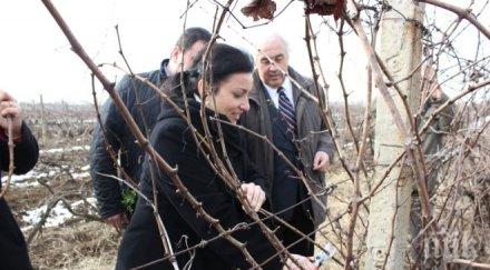 земеделският министър заряза традиционно лозята плевен снимки