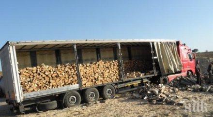 дървената мафия дави