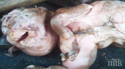 ужасяващ магазин човешко месо лондон