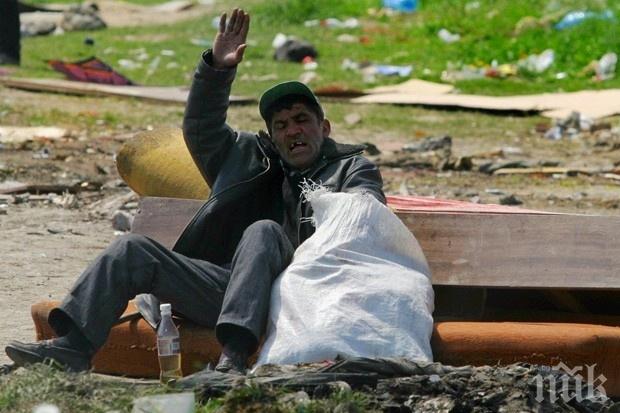 Родни бездомници бродят из Острова