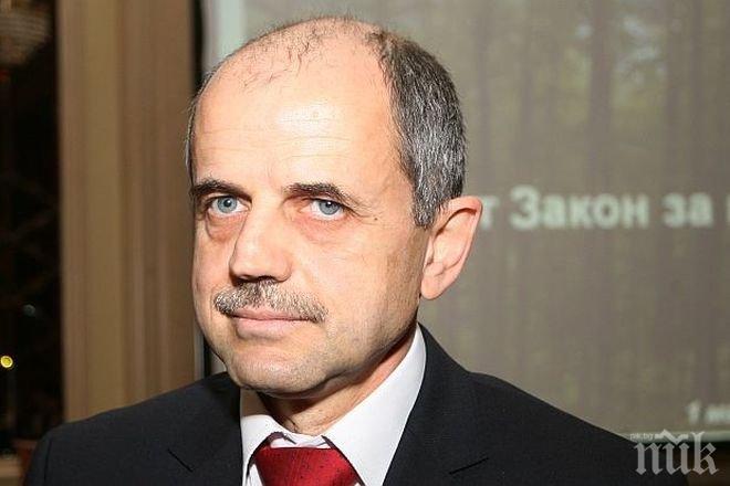 Зам.-министърът на земеделието: Незаконната сеч не е единствената причина за бедствията, които ни сполетяха
