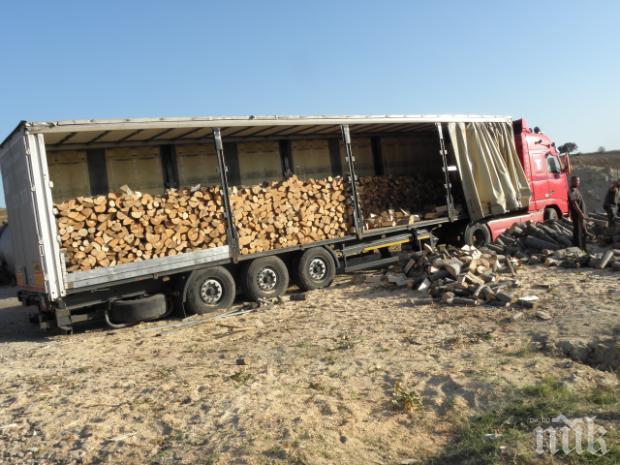 Дървената мафия ни дави