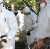 Спецмерки заради птичия грип във Варна