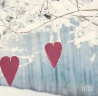 Вижте най-известните цитати за любовта