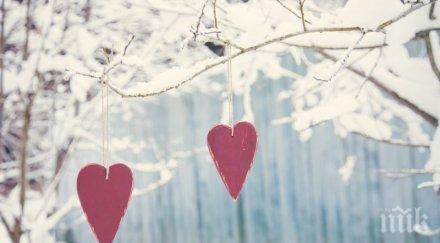 вижте известните цитати любовта