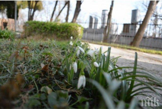 Чака ни слънчева събота, температурите ще са между 5° и 10°