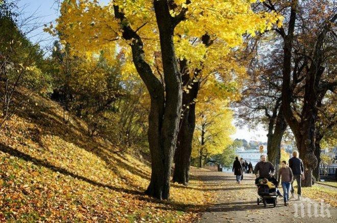 Синоптици от БАН: Зимата свърши! Температурите се повишават, градусите скачат до 10