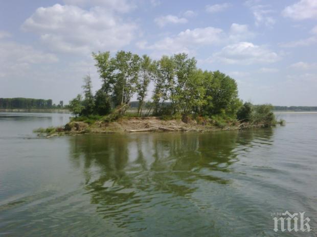 Няма замърсяване в българския участък на Дунав