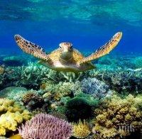 САЩ платиха 2 милиона долара на Филипините за повреден риф