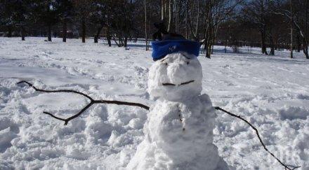 армия снежни човеци япония