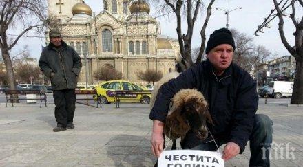 росен марков овцата дарина отпразнуваха китайската нова годината