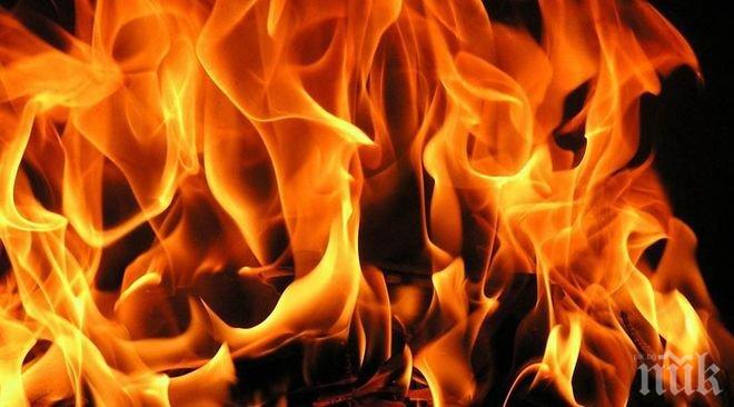 Пожар бушува в землището на село Борово