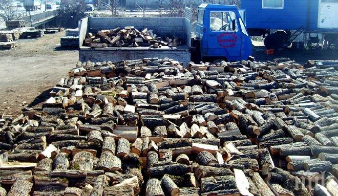 Малко са жителите на село Ботево, които закупуват дърва за огрев в средата на зимата
Малко са жителите на село Ботево, които закупуват дърва за огрев в средата на зимата