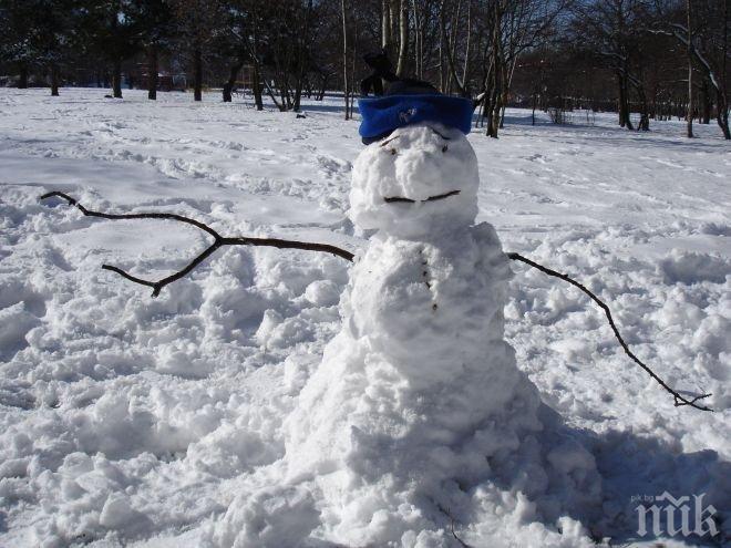 Армия от снежни човеци в Япония