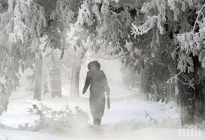 Кофти сутрин! Сняг заваля в цяла България, брули вятър! Температурите от минус 5 до плюс 14 градуса