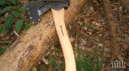 бойна бабка спря крадец брадвата