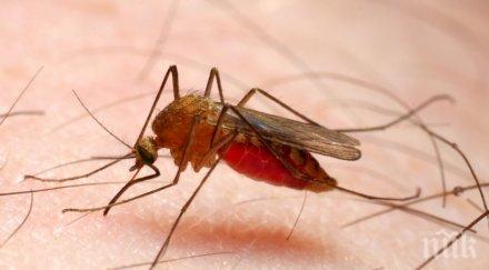 все повече разпространява устойчивият лекарства щам маларията