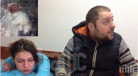 зверство мъж посече брадва домашно куче пловдив снимки
