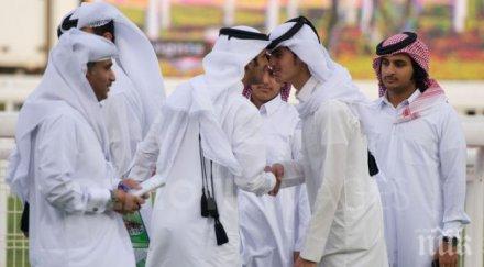 катар отзова своя посланик египет