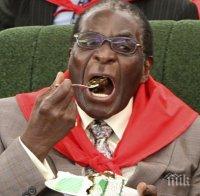 Президентът на Зимбабве стана на 91 години, на власт е от 35!