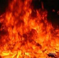 Изгоряха 10 дка с лавандула