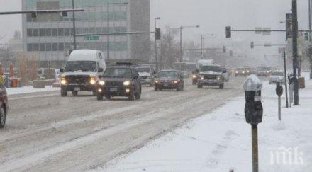 рекордни студове убиха сащ