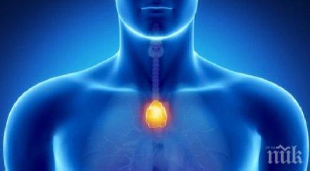 кампанията русе безплатен преглед рак млечната жлеза продължава