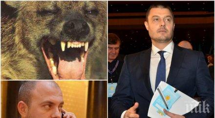 бареков ексклузивно пик имейл гейт бдц останаха хиени разкъсват помежду останаха без плячка