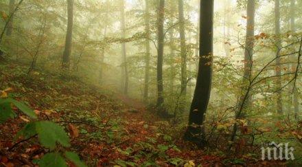 проливните дъждове нанесли поражения хижите смолян