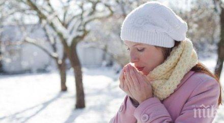 важно вижте мита внушени здравните експерти