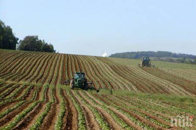 Малките земеделски производители искат достъп до европейските програми 
