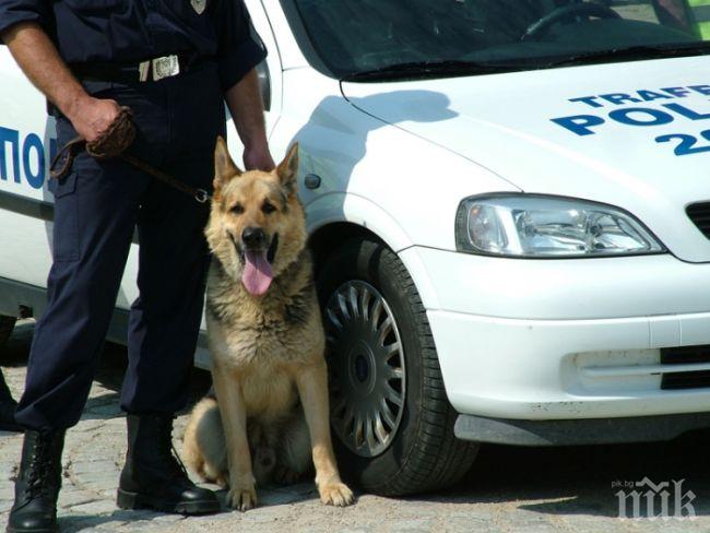 Ченге пострада при арест на младеж