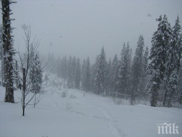 Студ скова САЩ, отменят 1500 полета