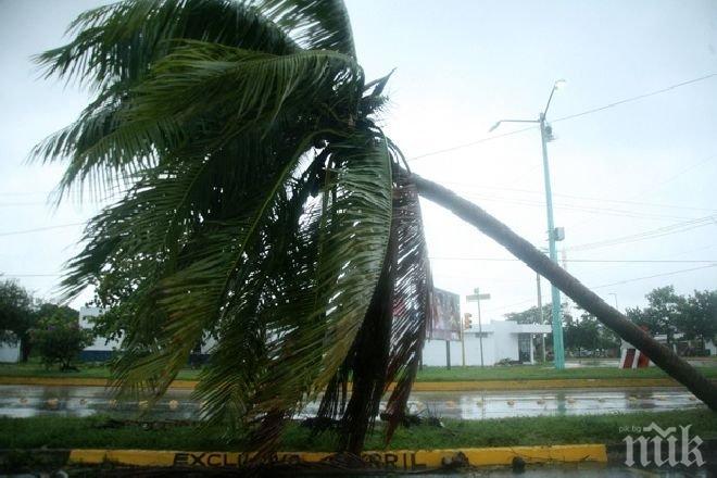 Около 60 000 домакинства са без ток след циклона в Австралия
