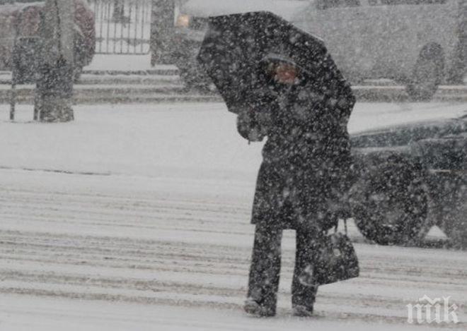Най-малко 15 души загинаха от студ в САЩ