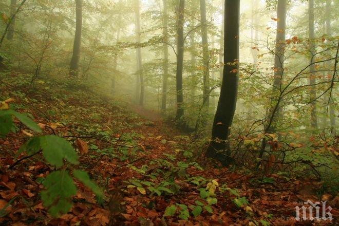 Проливните дъждове не са нанесли поражения на хижите в Смолян