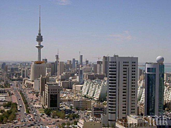 2 г. затвор за кувейтски политик, обидил емира

