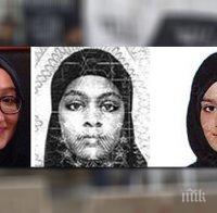 Фенка на Хари Потър вербува за 