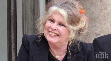 бриджит бардо грижи руски алкохолизирани мечки