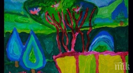 първа награда национален конкурс донесе плевен млада художничка