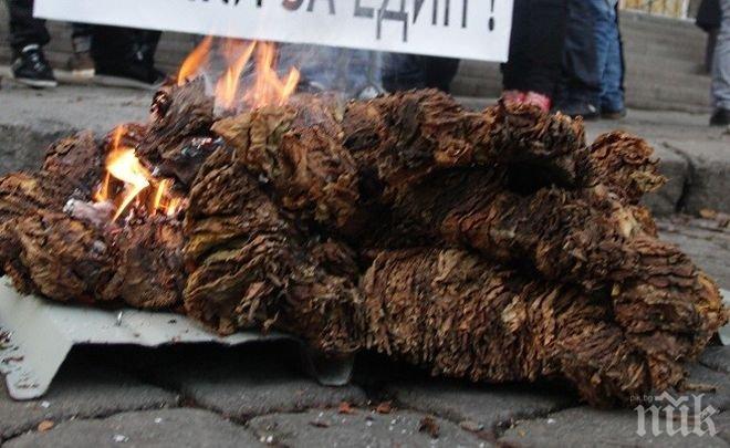 Тютюнопроизводителите затварят границата в петък