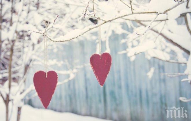 Любопитни факти и рекорди за любовните връзки