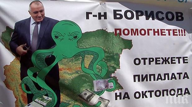 Бойко Борисов и зеленият октопод Тома Белев се уговарят по телефона как да тръшнат вратата пред развитието на зимния туризъм! Нормално ли е премиер да се отчита пред бос на НПО?