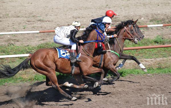 Възстановяват конните надбягвания в Радомир за Тодоров ден